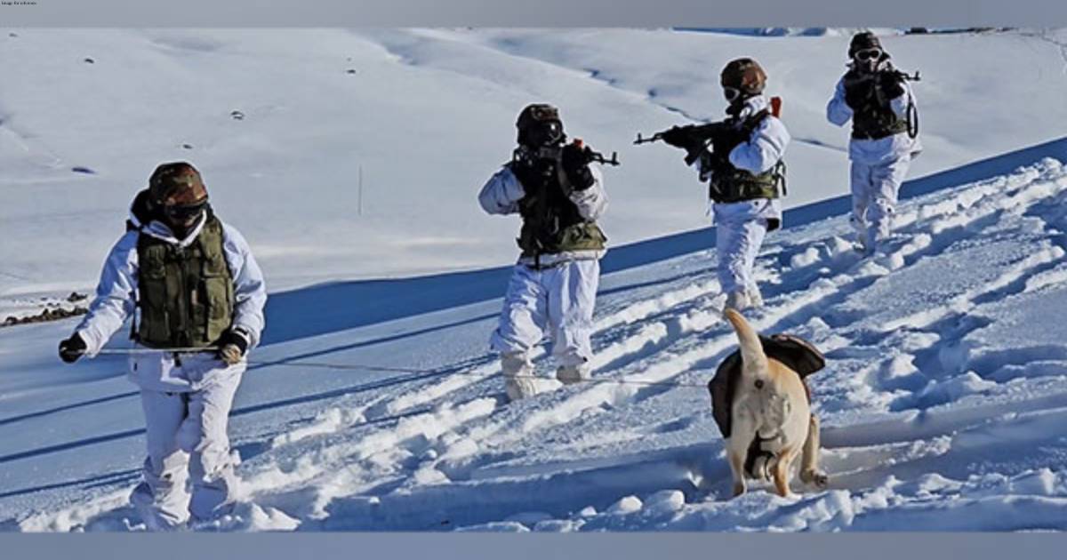 J-K: Indian Army Unit showcases avalanche rescue prowess on LoC in Gulmarg